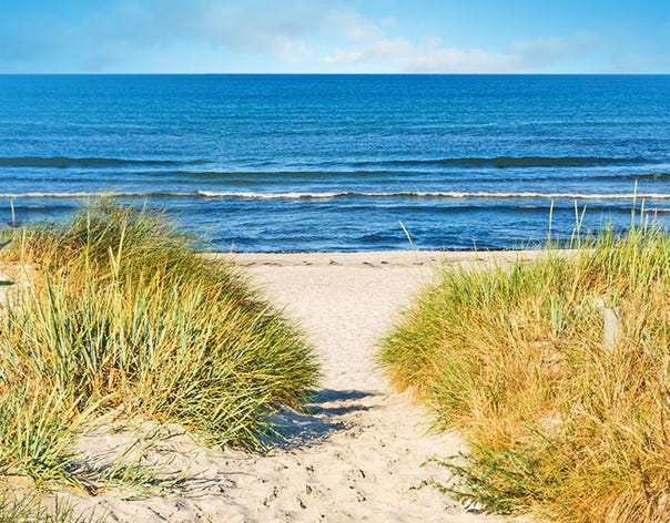 Sanddünen am Meer