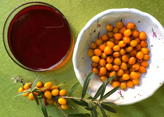 Sanddornfrüchte und Sanddornöl